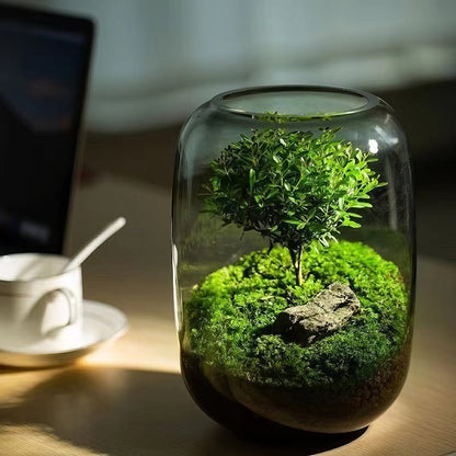 Terrarium Albero della Vita Calduna®